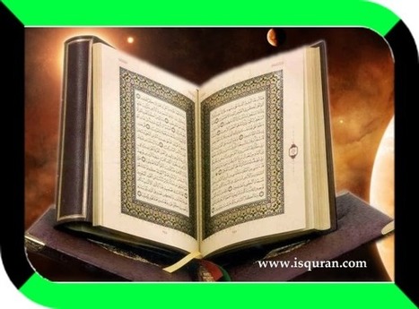 Online Quran Courses